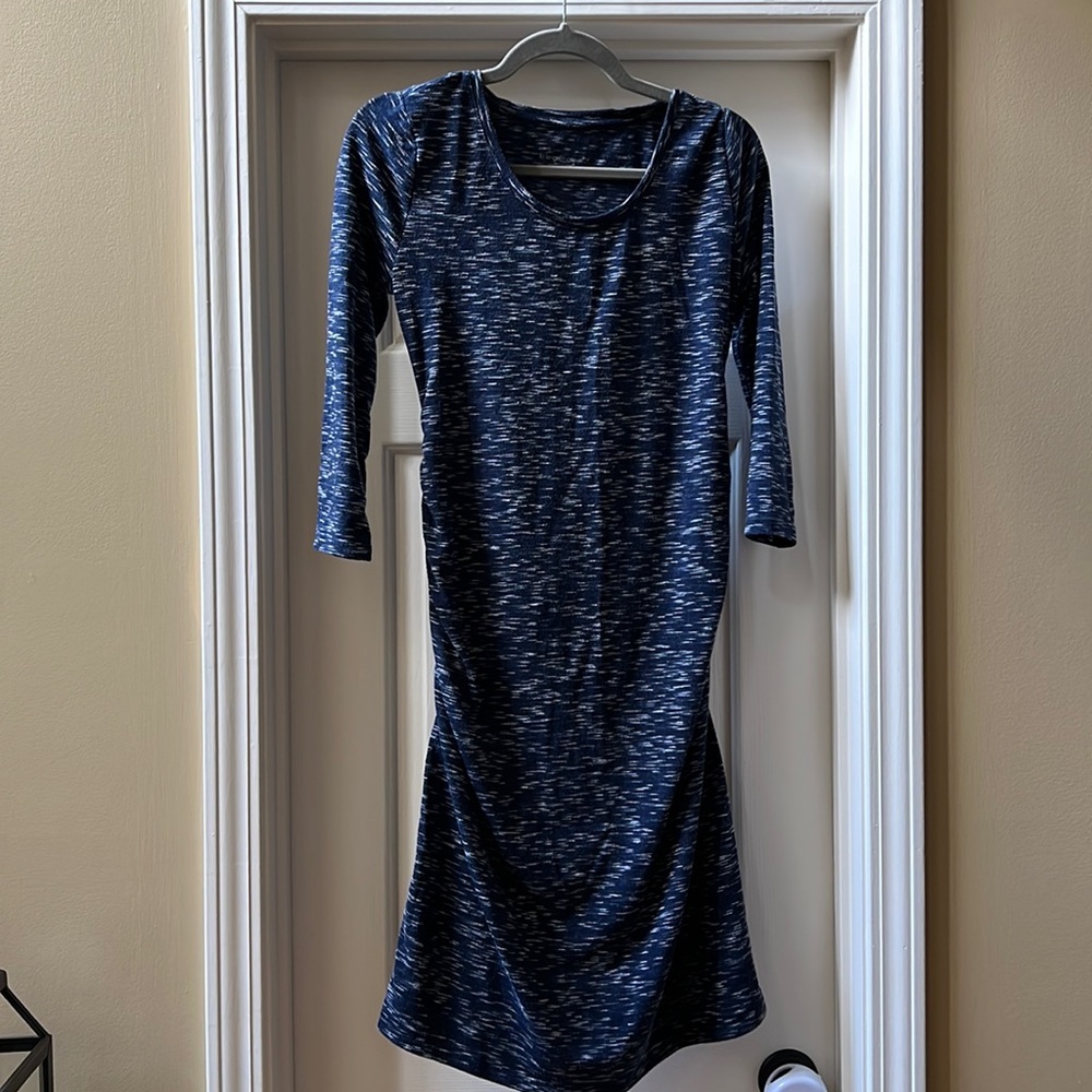 Liz Lange Fitted Maternity Dress
